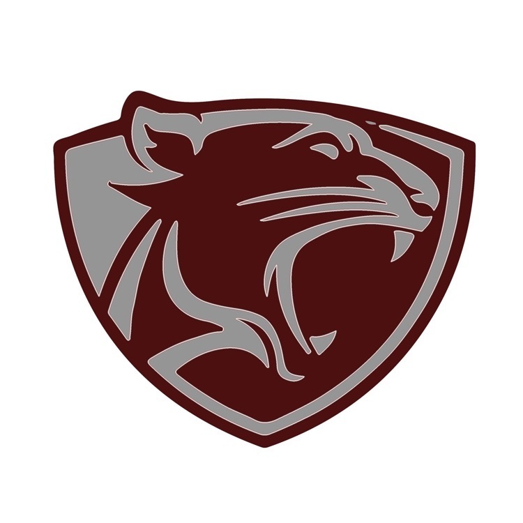 alberton panthers logo